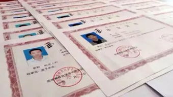 自考本科畢業(yè)后學(xué)信網(wǎng)什么時候會顯示