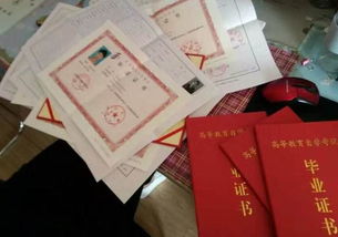 成人自考本科怎么報(bào)名相信松果網(wǎng)校好