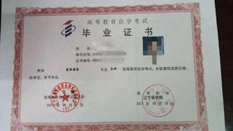 網(wǎng)絡(luò )教育專(zhuān)科自考本科