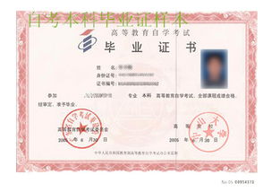 自考?？飘厴I(yè)可以考全日制本科嗎