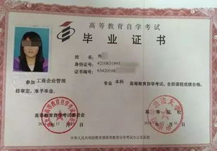 自考本科和統招本科哪個(gè)難