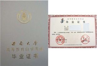 西南大學自考本科論文