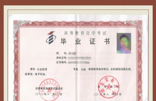 自考本科會(huì )計找工作