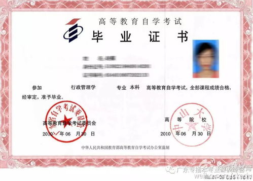 高考后自考本科和專(zhuān)升本的區別嗎