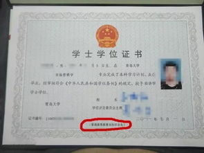 專(zhuān)科升本科屬于自考嗎
