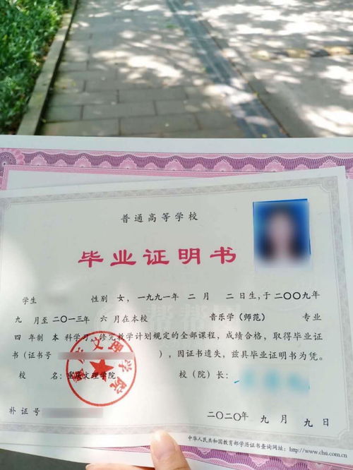 自考本科學籍檔案丟失怎么辦