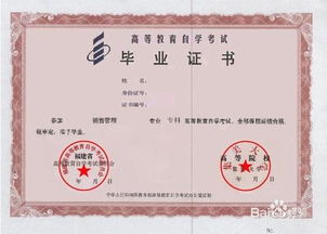 自考成考本科