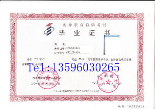 自考獨立本科計算機及應用