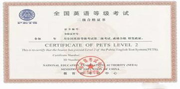 計(jì)算機(jī)教育專業(yè)自考本科