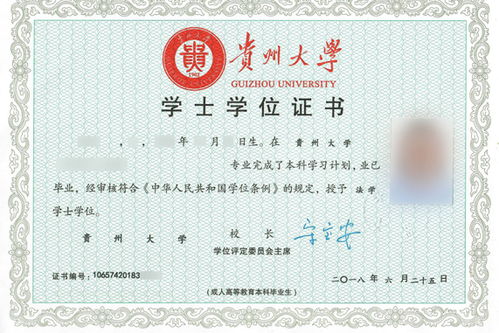 自考本科有指標嗎