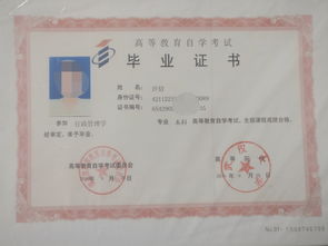 大學(xué)本科期間能自考專(zhuān)科嗎