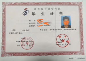 本科自考什么時(shí)候可以報名費