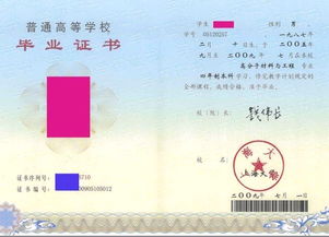自考動畫設計本科山東