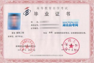自考本科時(shí)間自由嗎