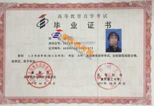 重師自考本科專業(yè)