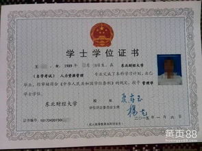 東北財(cái)經(jīng)大學(xué)自考本科考什么
