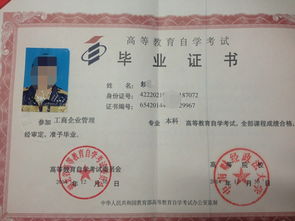 現在自考本科難么