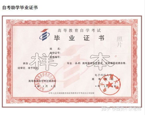 高職擴招與自考本科