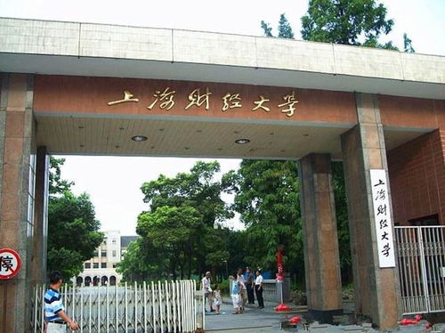 上海財(cái)經(jīng)大學(xué)自考會(huì)計(jì)本科難嗎