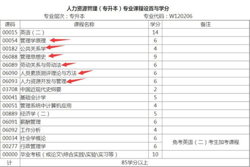 大自考人力資源本科英語可以不考嗎
