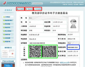 自考本科在線驗證報告在哪里打
