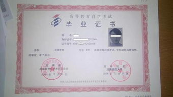 山東自考本科多少錢(qián)啊