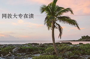 在讀專科生可以報(bào)自考本科段嗎