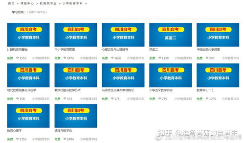 小學(xué)教育自考本科學(xué)習(xí)技巧