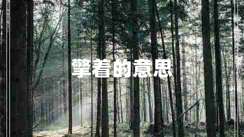 擎著的意思