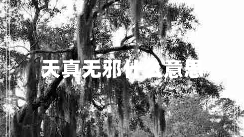 天真無邪什么意思
