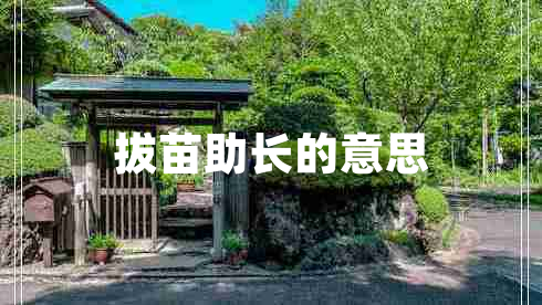 拔苗助長(cháng)的意思