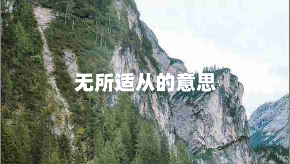 無(wú)所適從的意思