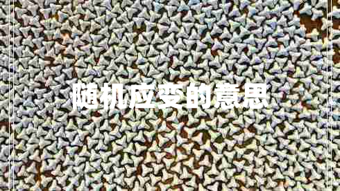 隨機應(yīng)變的意思