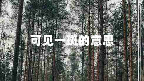 可見(jiàn)一斑的意思