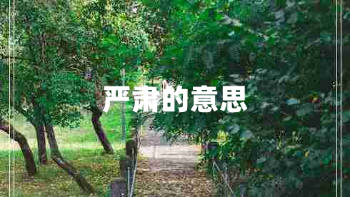 嚴(yán)肅的意思
