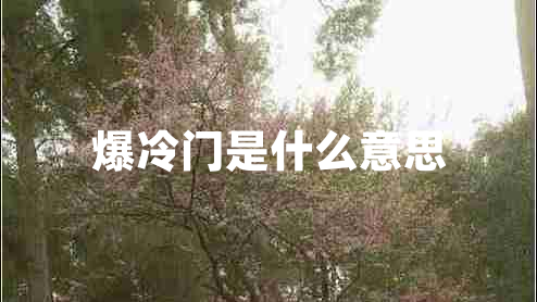 爆冷門是什么意思