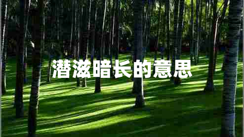 潛滋暗長(cháng)的意思