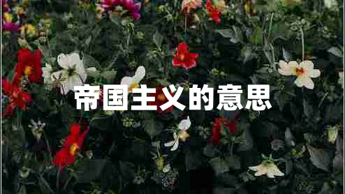 帝國(guó)主義的意思