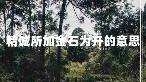 精誠所加金石為開(kāi)的意思