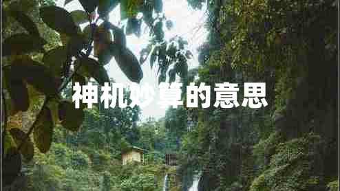神機妙算的意思