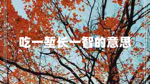 吃一塹長一智的意思