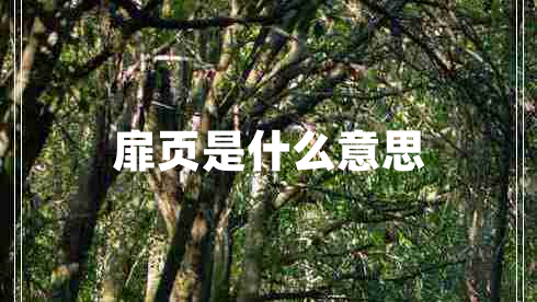 扉頁(yè)是什么意思