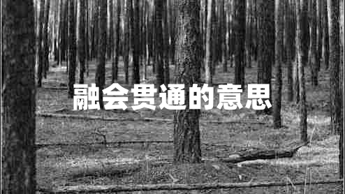融會(huì)貫通的意思