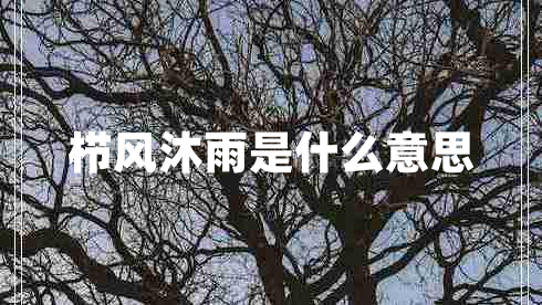 櫛風沐雨是什么意思