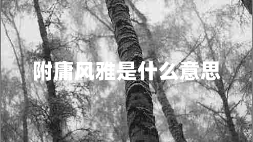 附庸風雅是什么意思