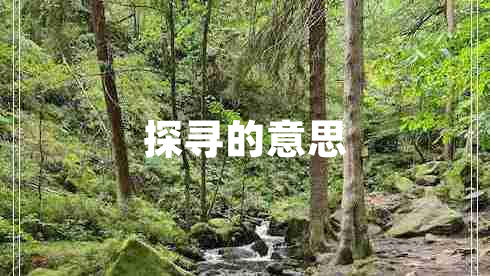 探尋的意思
