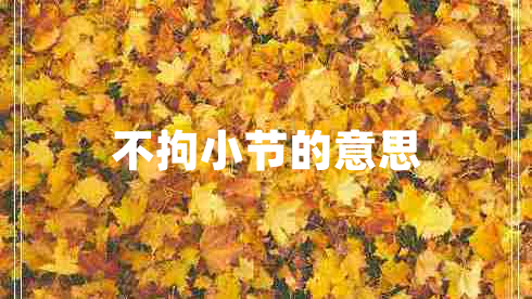 不拘小節(jié)的意思