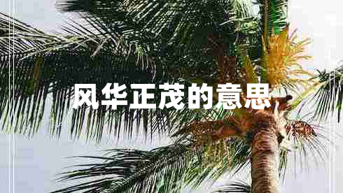 風華正茂的意思