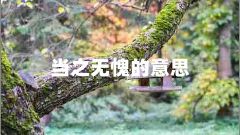 當(dāng)之無(wú)愧的意思