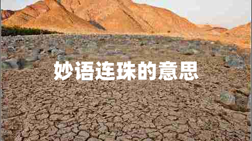 妙語(yǔ)連珠的意思